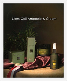 [Cosmetic] DIA Stem Cell Ampoule + Stem Ce...